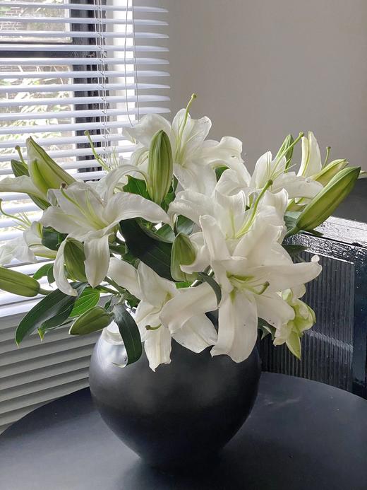 【两个百合！双倍快乐！】西伯利亚白百合8-10朵+紫皇后亚百合8-10朵/份 商品图3