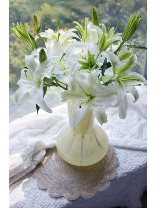 【两个百合！双倍快乐！】西伯利亚白百合8-10朵+紫皇后亚百合8-10朵/份 商品图4