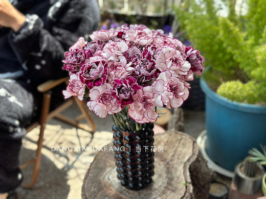 【为你写诗】紫精灵单头康乃馨10支+野马单头康乃馨10支/份（夏木设计） 商品图4