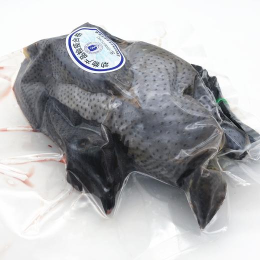 【高原山地散养濮蛮鸡】云南生鲜鸡肉 鸡肉紧实 鲜香美味 五谷慢养 自然觅食 山林慢养才有味 4种规格任选 商品图5