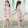 【PF】2023公主裙 女童连衣裙 夏季韩版女宝宝童装外贸地摊 儿童 连衣裙 商品缩略图0
