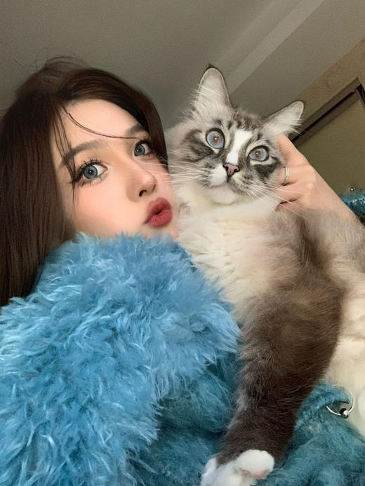 sugarplum糖豆 年抛 冰岛极光 直径14.5mm着色13.8mm 商品图9