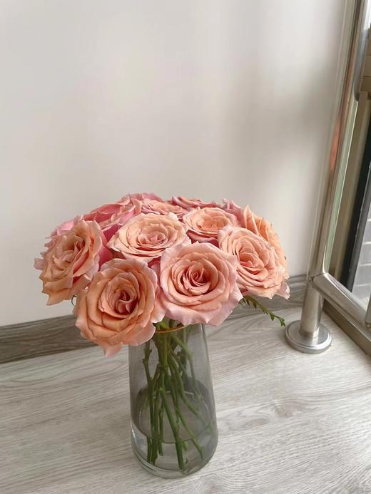 【漠泊玫瑰.第二份减10元】10支/份 长约60-65cm 商品图6