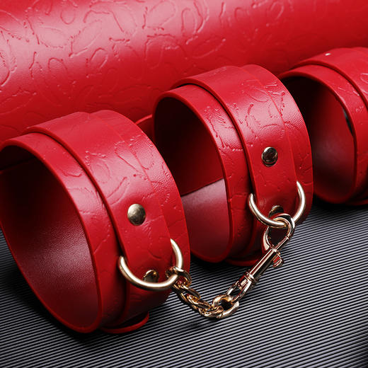 【情趣用品】谜姬 S&M·Desire天鹅卷包款套组 商品图5