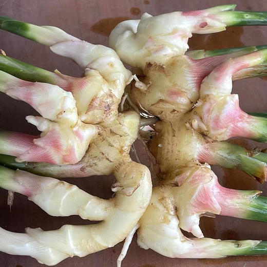 嫩姜500g-阿林 商品图1