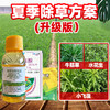 夏季除草方案 果园及田埂除草升级版套餐 精草铵膦铵盐除草剂喷施 商品缩略图2