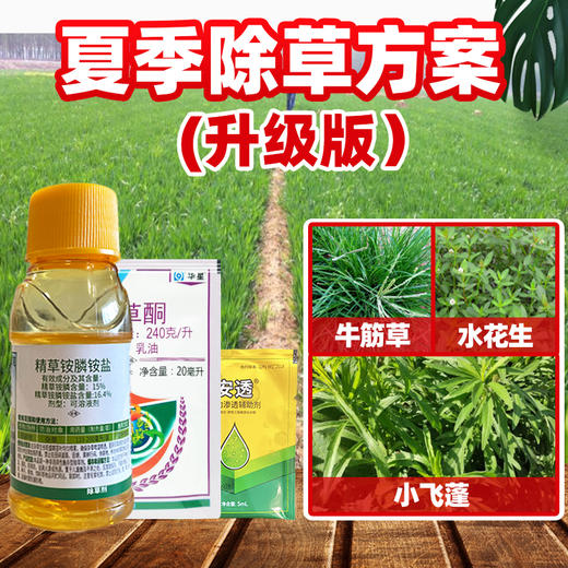 夏季除草方案 果园及田埂除草升级版套餐 精草铵膦铵盐除草剂喷施 商品图2