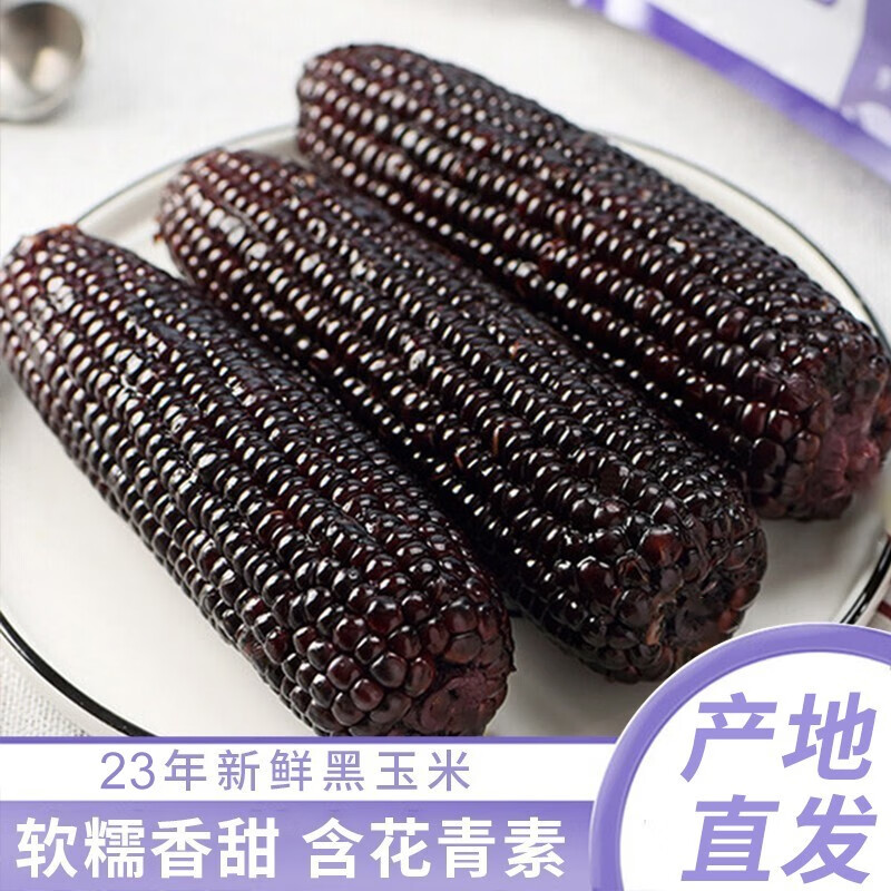 自营（月亮湾）-黑玉米 香糯甜玉米棒 新玉米真空包装
