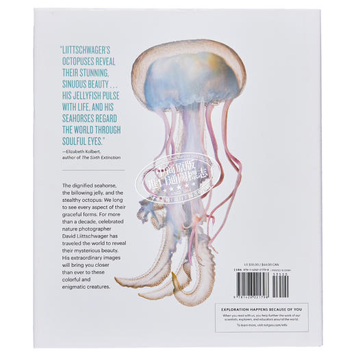 预售 【中商原版】章鱼 海马 水母 英文原版 Octopus Seahorse Jellyfish DAVID LIITTSCHWAGER 商品图1
