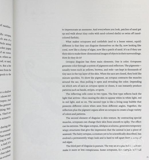预售 【中商原版】章鱼 海马 水母 英文原版 Octopus Seahorse Jellyfish DAVID LIITTSCHWAGER 商品图5
