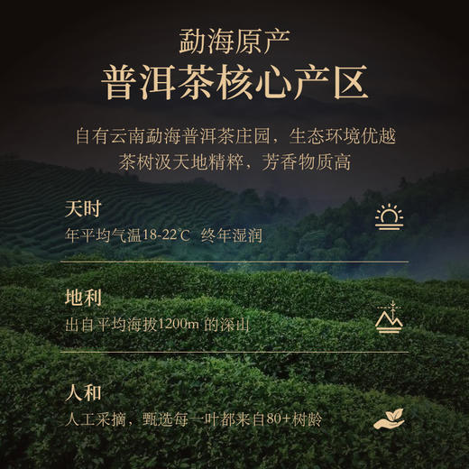 华祥苑-贵宾茶云南普洱茶熟茶散茶叶 84g礼盒 商品图4