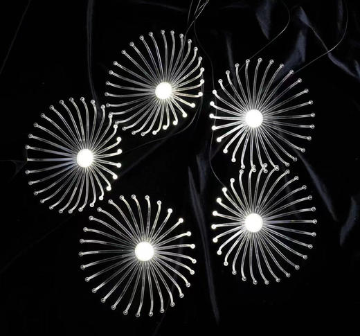 5头海葵灯串【运费自理】 商品图0