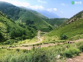  【越野干货 】新人必看的越野跑技巧！ 