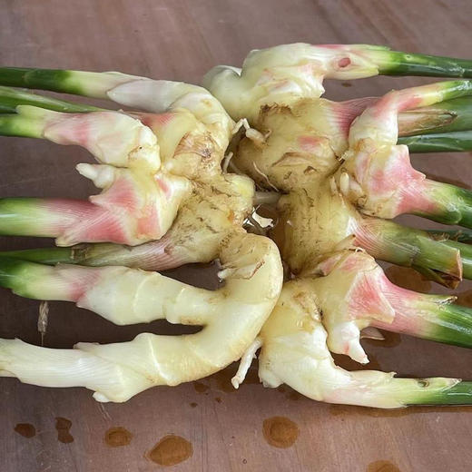 嫩姜500g-阿林 商品图0