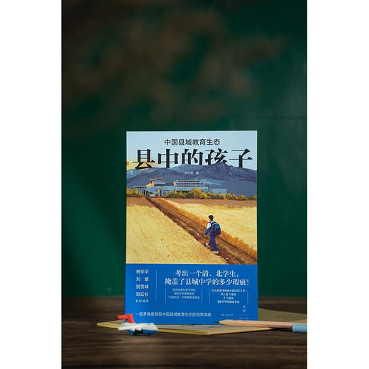 县中的孩子 中国县域教育生态 林小英 著 社会科学 商品图1
