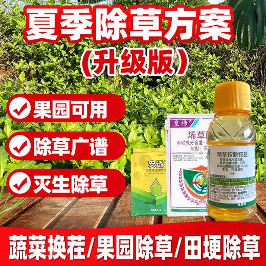 夏季除草方案 果园及田埂除草升级版套餐 精草铵膦铵盐除草剂喷施 商品图4