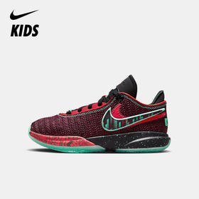 Nike Lebron XX SE (GS) 大童篮球童鞋 FB8974
