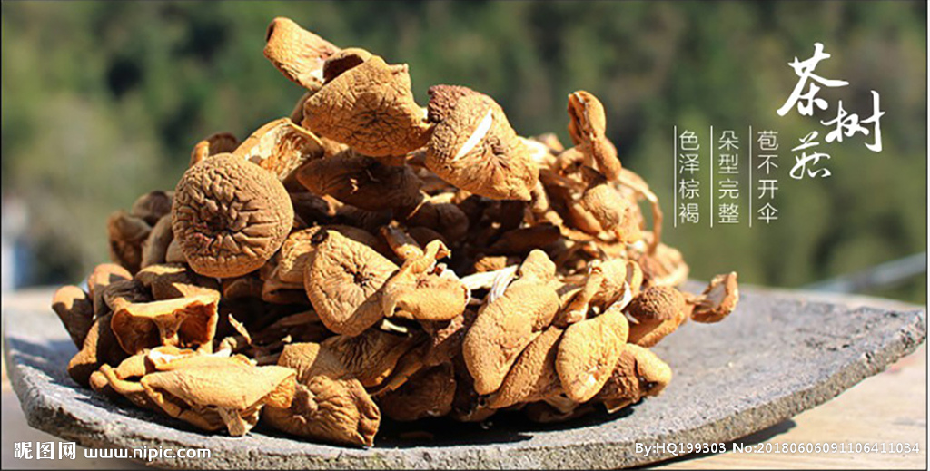 精选茶树菇干货200g山珍蘑菇干货菌菇食材