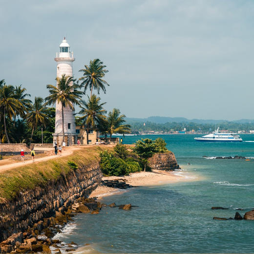 【海岛度假·斯里兰卡】7天6晚·2人成团|高山茶园小火车+追寻野生动物+世界文化遗产+《千与千寻》海滨小火车（佛牙寺+茶园游览+亚拉国家公园+斯里兰卡大象孤儿院+欣赏高跷海钓） 商品图4