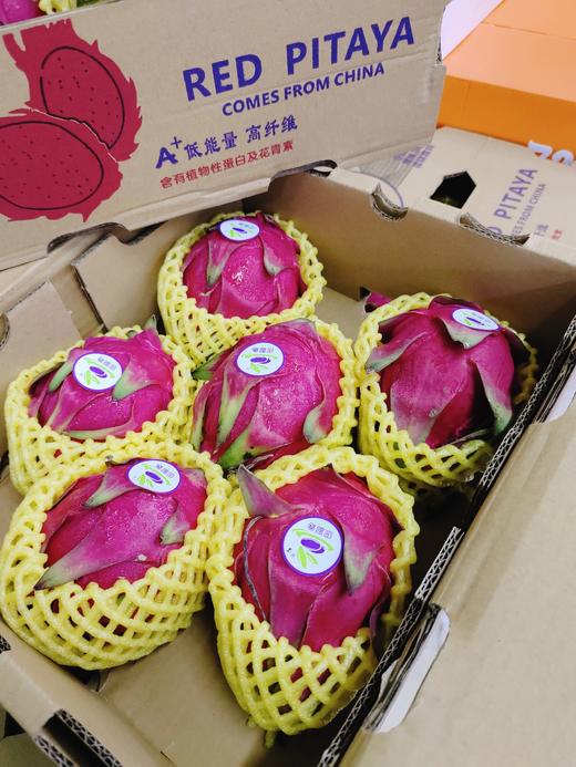 红心火龙果一箱（拼团） 商品图1