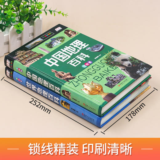 中国地理百科全书/世界儿童地理 7-10岁小学生课外阅读书 商品图1