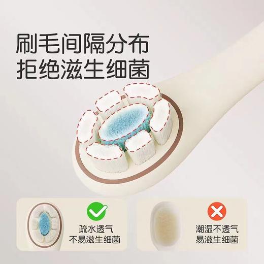 thyseed 世喜 训练牙刷 商品图2