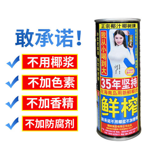 正宗椰树牌椰子汁植物蛋白饮料 245ml 商品图2