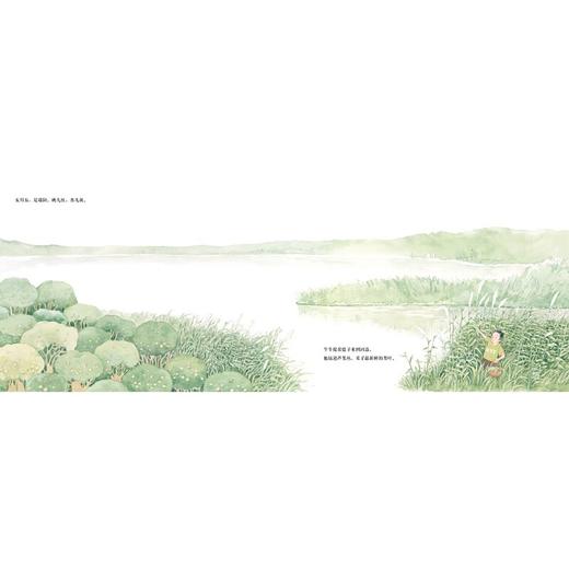 九神鹿绘本馆--哥哥赛龙舟 端午节 五月五，是端阳。桃儿红，杏儿黄。 五月五，是端阳。菖蒲绿，艾叶香。 五月五，是端阳。我哥回，龙舟赛。 牛牛和妞妞总盼着过热闹的端午节，他们相信：今年会赢的！ 商品图4