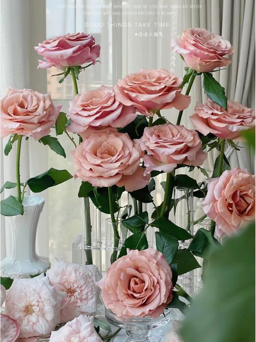 【漠泊玫瑰.第二份减10元】10支/份 长约60-65cm 商品图7