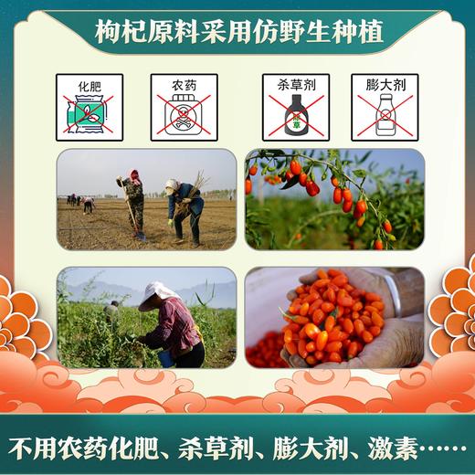 零化枸杞冻干枸杞嚼着吃口感好开瓶即食125g 商品图3