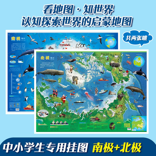 全彩8张地图：中国世界地图太阳系中华民族分布北极南极史前海洋  商品图3