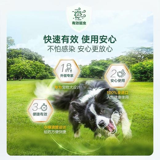 福来恩犬用体外驱虫滴剂小型犬狗狗用泰迪除虱子去跳蚤蜱虫/支 商品图2
