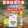 夏季除草方案 果园及田埂除草升级版套餐 精草铵膦铵盐除草剂喷施 商品缩略图0