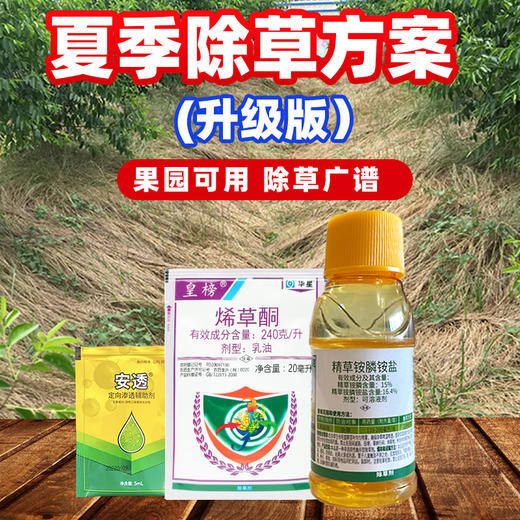 夏季除草方案 果园及田埂除草升级版套餐 精草铵膦铵盐除草剂喷施 商品图0