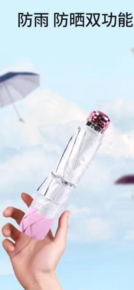 天堂银胶伞336T 商品图0