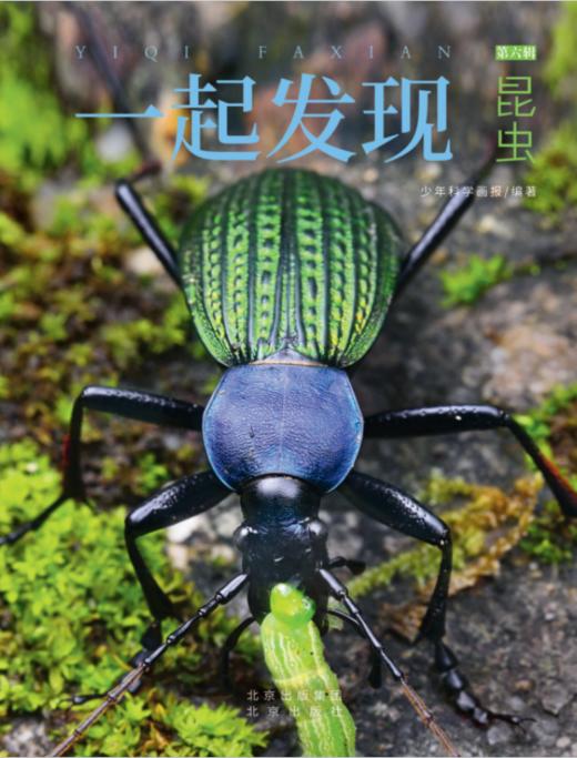 2023年《一起发现》过刊优惠随机3本 商品图7