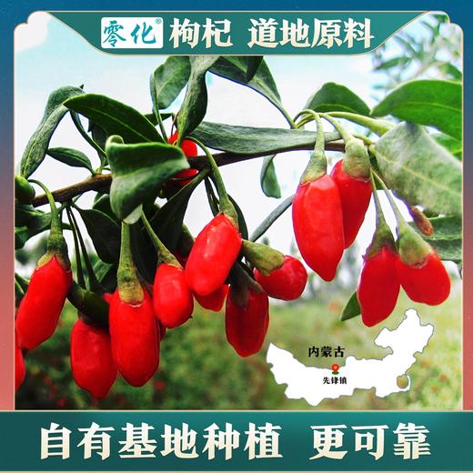 零化枸杞冻干枸杞嚼着吃口感好开瓶即食125g 商品图2