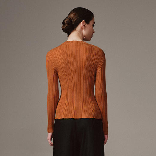 TANGY Collection天意高端2023秋季新品商场同款染秋系列女士长袖针织衫 商品图2