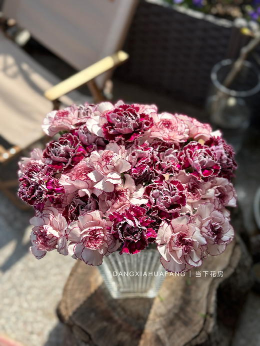 【为你写诗】紫精灵单头康乃馨10支+野马单头康乃馨10支/份（夏木设计） 商品图7