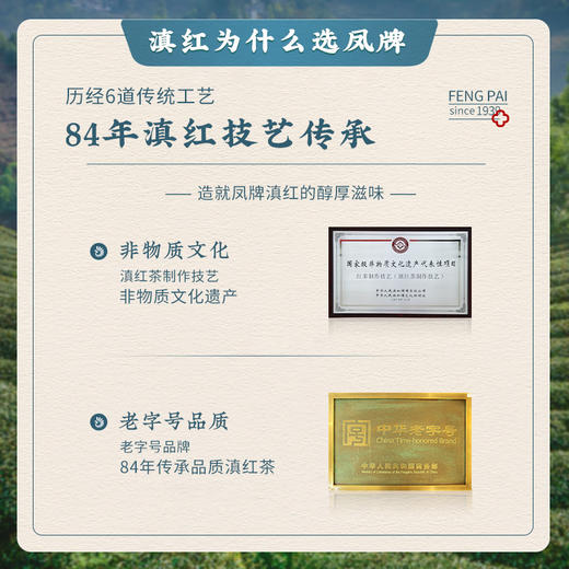 凤牌红茶云南滇红茶凤庆高山云海200g浓香型茶叶罐装 商品图5
