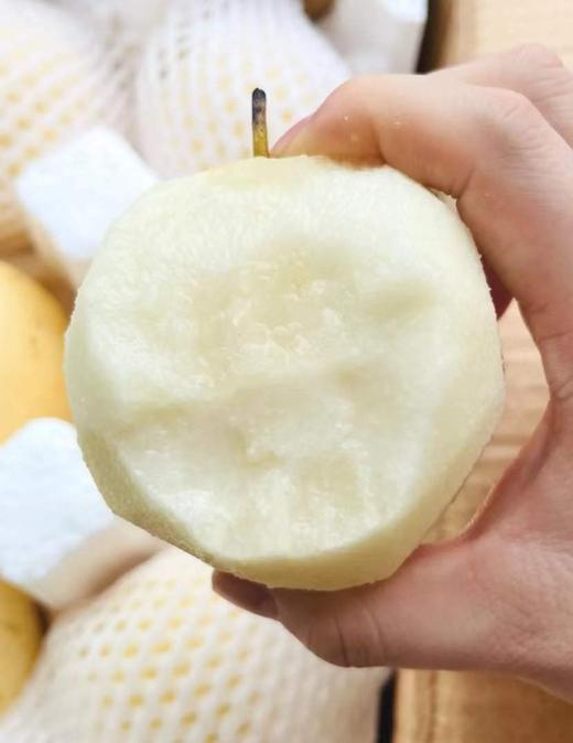 赵州 皇冠梨 3斤 商品图1