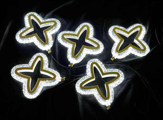 5头北极星灯串【运费自理】 商品图0