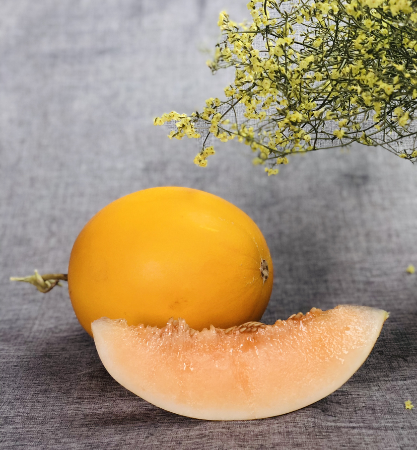 民勤蜜瓜—金红宝3~4斤/个