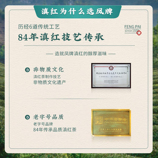 凤牌红茶滇红茶云南茶叶云端200g浓香型红茶罐装 商品图5