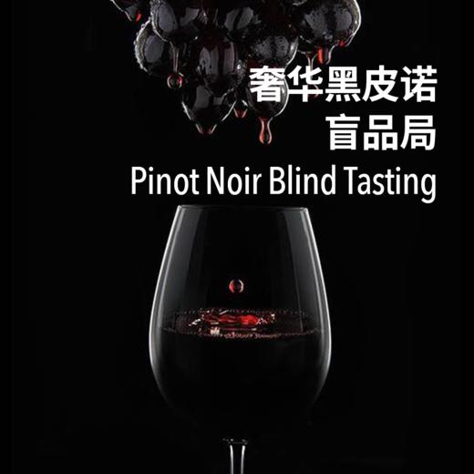 【2023.8.23 陕康里门票 SKL Ticket】奢华黑皮诺盲品局 商品图0