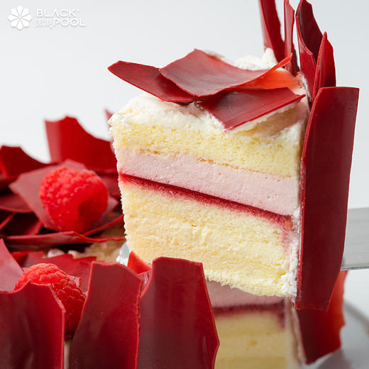 （此链接仅限8月22号配送）七夕提前购福利~【荆棘灵感莓果牛乳慕斯】 商品图3