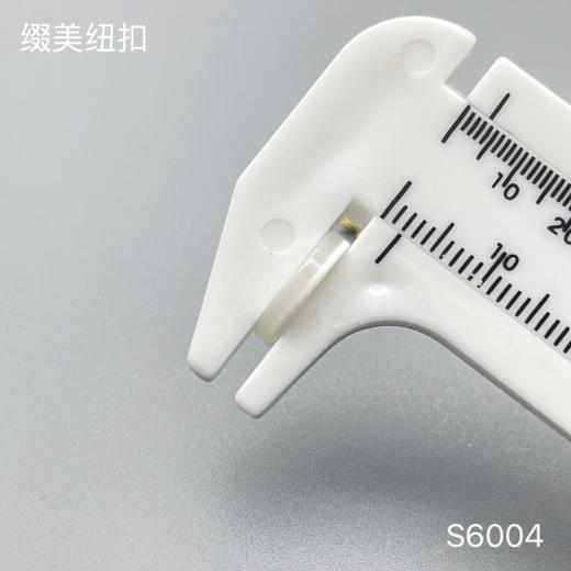 S6004(整包购买) 商品图4