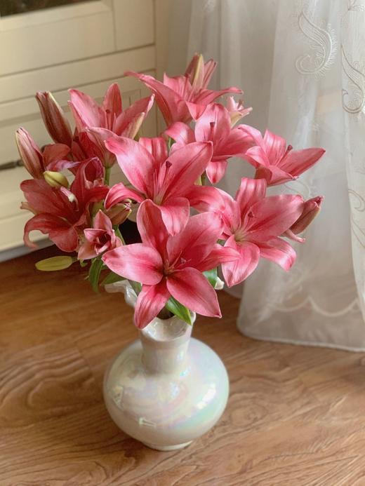 【两个百合！双倍快乐！】西伯利亚白百合8-10朵+紫皇后亚百合8-10朵/份 商品图2