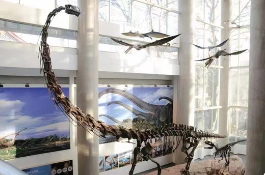 【南京】玩转南古馆✖️玄武湖景区一日营 商品图0