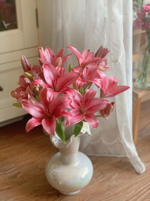 【两个百合！双倍快乐！】西伯利亚白百合8-10朵+紫皇后亚百合8-10朵/份 商品图1